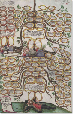 Stammbaum der Grafen von Törring aus der Stammesbeschreibung von Prey, Bd 3: Caspar von Törring zum Stein,1724