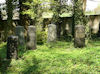 Jüdischer Friedhof Binswangen (Foto: Arbeitskreis N�rdlinger Ries / Zentrum für allgemeine wissenschaftliche Weiterbildung der Universität Ulm)