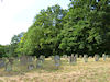 Jüdischer Friedhof Euerbach, blick vom ältesten Teil aus auf den anschließenden Teil (Foto: Elisabeth B�hrer)