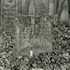 Jüdischer Friedhof Limbach. � Dieter Kraft/Herbert Roller, Ebelsbach, 1987