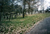 Jüdischer Friedhof Schweinshaupten. Foto privat