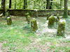 Jüdischer Friedhof Heiligenstadt (Foto: Christoph Daxelm�ller)