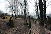 Jüdischer Friedhof Ichenhausen. Foto: Peter Lengle, Augsburg