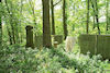 Blick in den jüdischen Friedhof Steinhart (Foto: Arbeitskreis N�rdlinger Ries / Zentrum für allgemeine wissenschaftliche Weiterbildung der Universität Ulm)