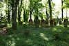 Jüdischer Friedhof Walsdorf, Hochgrab (Foto: Christoph Daxelm�ller)