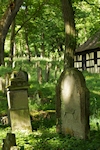 Jüdischer Friedhof Walsdorf. � W.H�rnig