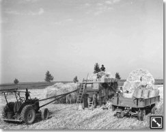 Die fünfziger Jahre waren die Zeit der Motorisierung der Landwirtschaft. Traktoren wurden Voraussetzung für rentables Arbeiten.