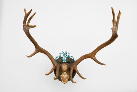 Hirschtrophäe geschossen von Kaiser Karl VII (Kurfürst Karl Albrecht von Bayern), 1744