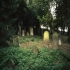 Jüdischer Friedhof von Allersheim � Cordula Kappner, Zeil a. Main 