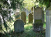 Jüdischer Friedhof Buttenwiesen (Foto: Arbeitskreis N�rdlinger Ries / Zentrum für allgemeine wissenschaftliche Weiterbildung der Universität Ulm)