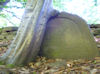 Jüdischer Friedhof Altengronau. �  Foto: Bernhard Müller Wirthmann, Kaufbeuren