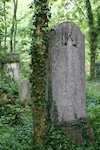 Jüdischer Friedhof Kriegshaber/Augsburg; Grabstein mit Darstellung der Priesterh�nde. Foto: Eva Mair Abersee, 2007