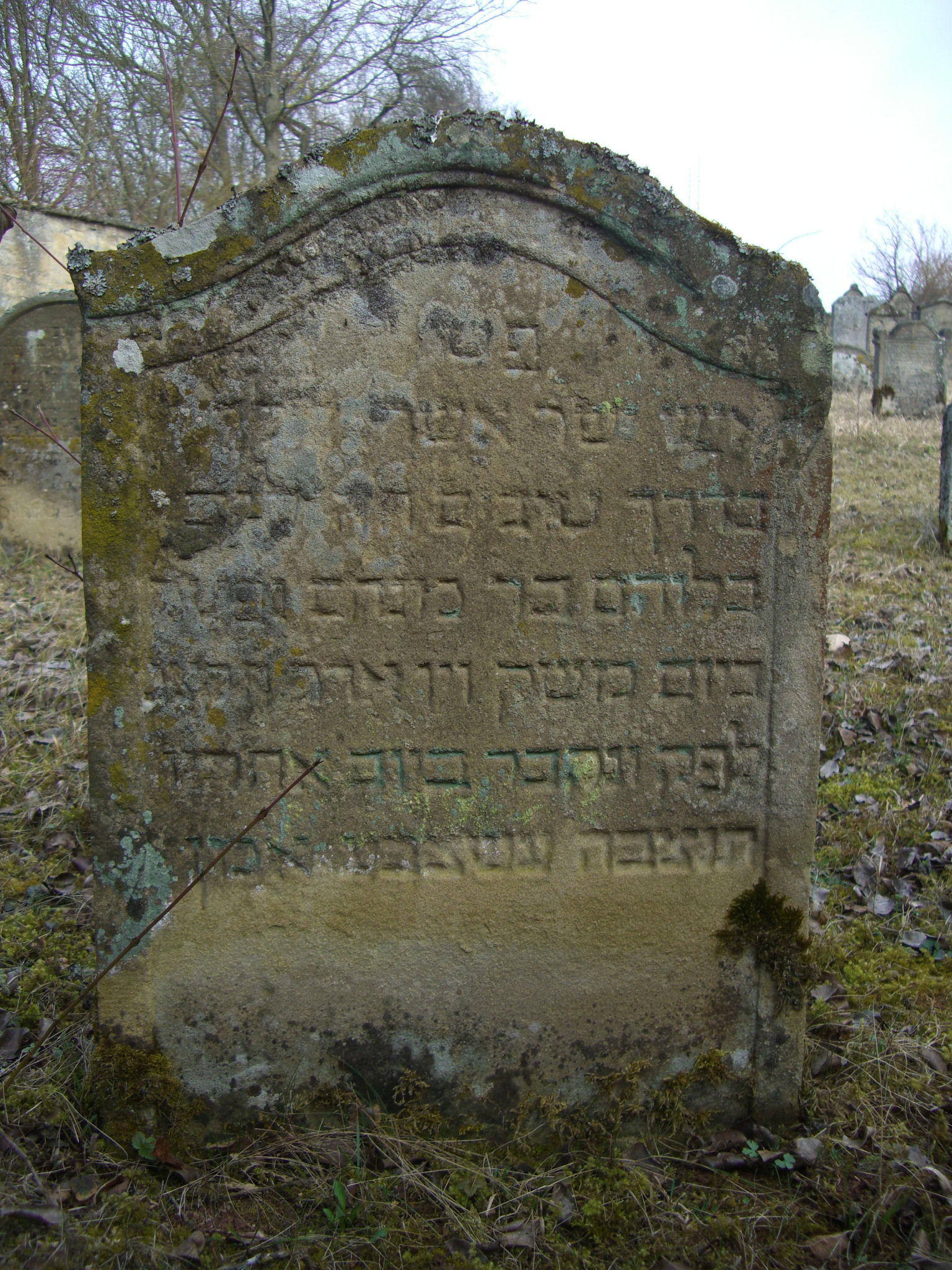 Jüdischer Friedhof Sulzdorf a. d. Lederhecke, März 2010 (Foto: Kreisheimatpfleger Reinhold Albert, Sulzdorf)