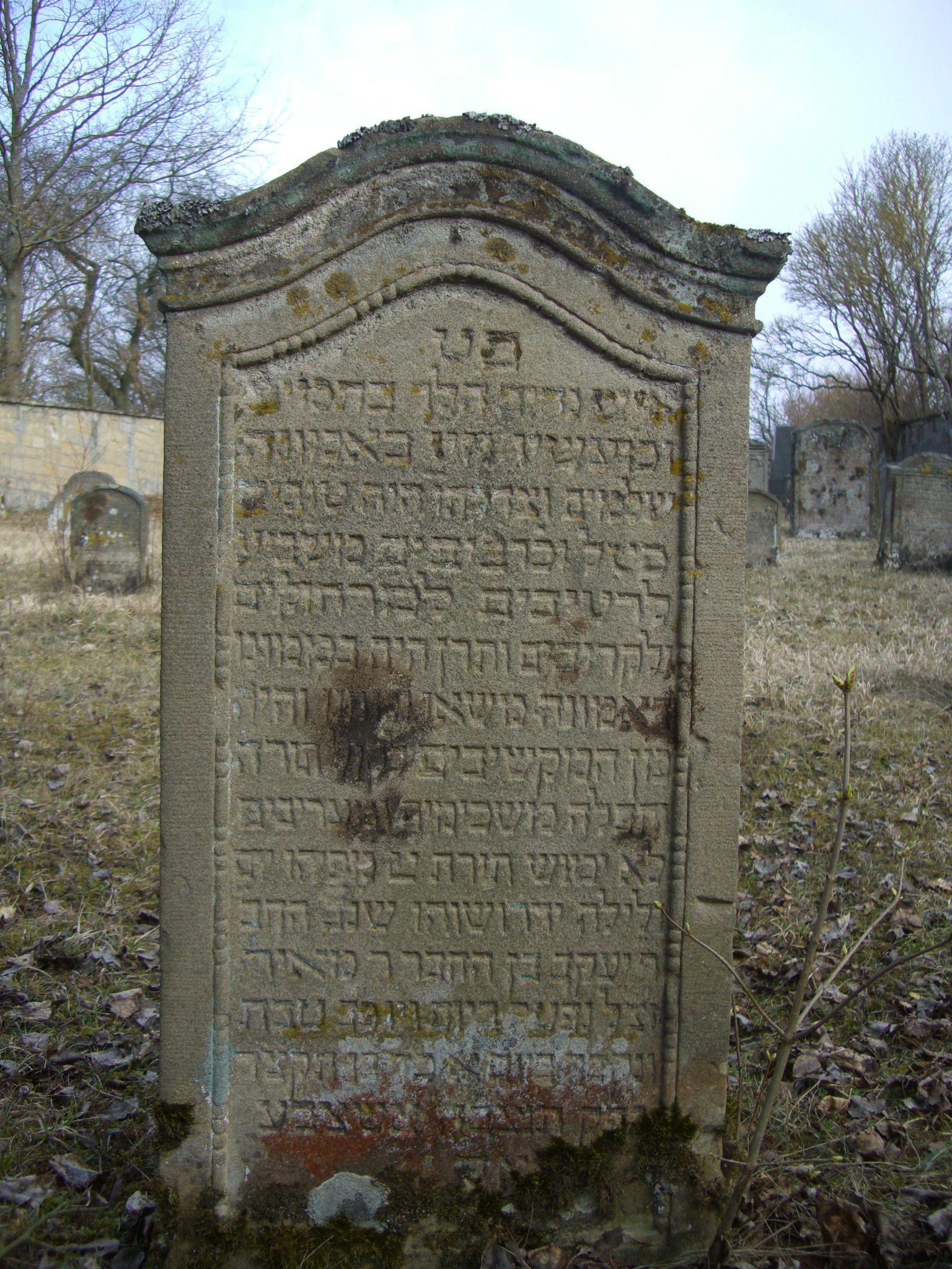 Jüdischer Friedhof Sulzdorf a. d. Lederhecke, März 2010 (Foto: Kreisheimatpfleger Reinhold Albert, Sulzdorf)