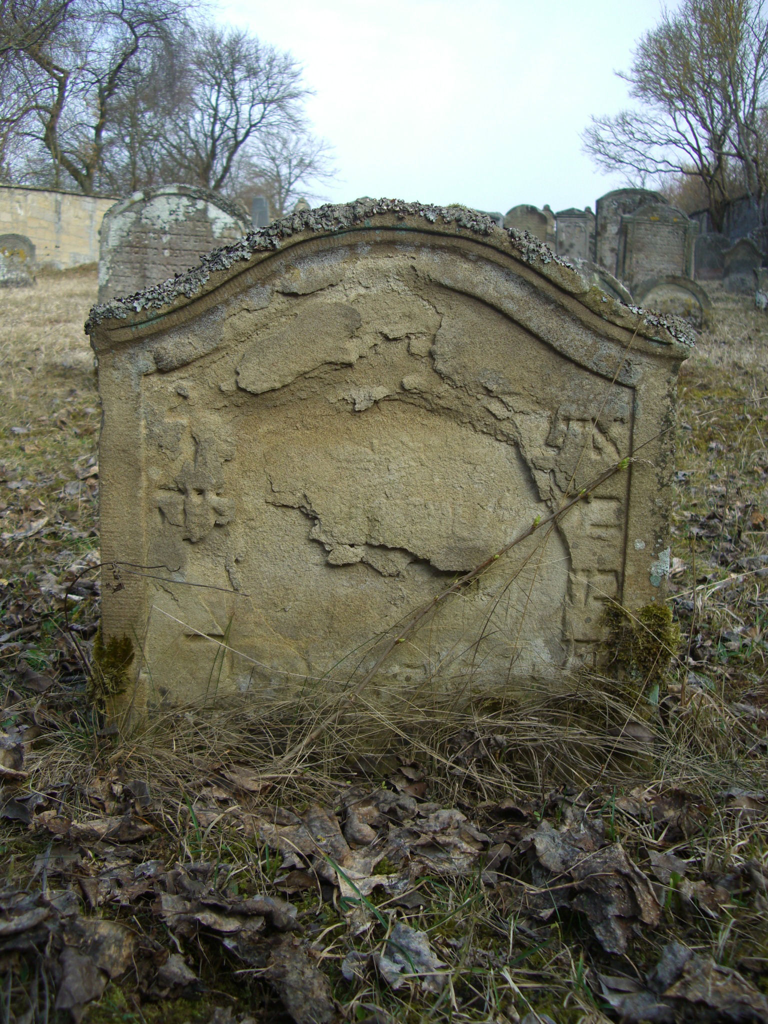 Jüdischer Friedhof Sulzdorf a. d. Lederhecke, März 2010 (Foto: Kreisheimatpfleger Reinhold Albert, Sulzdorf)