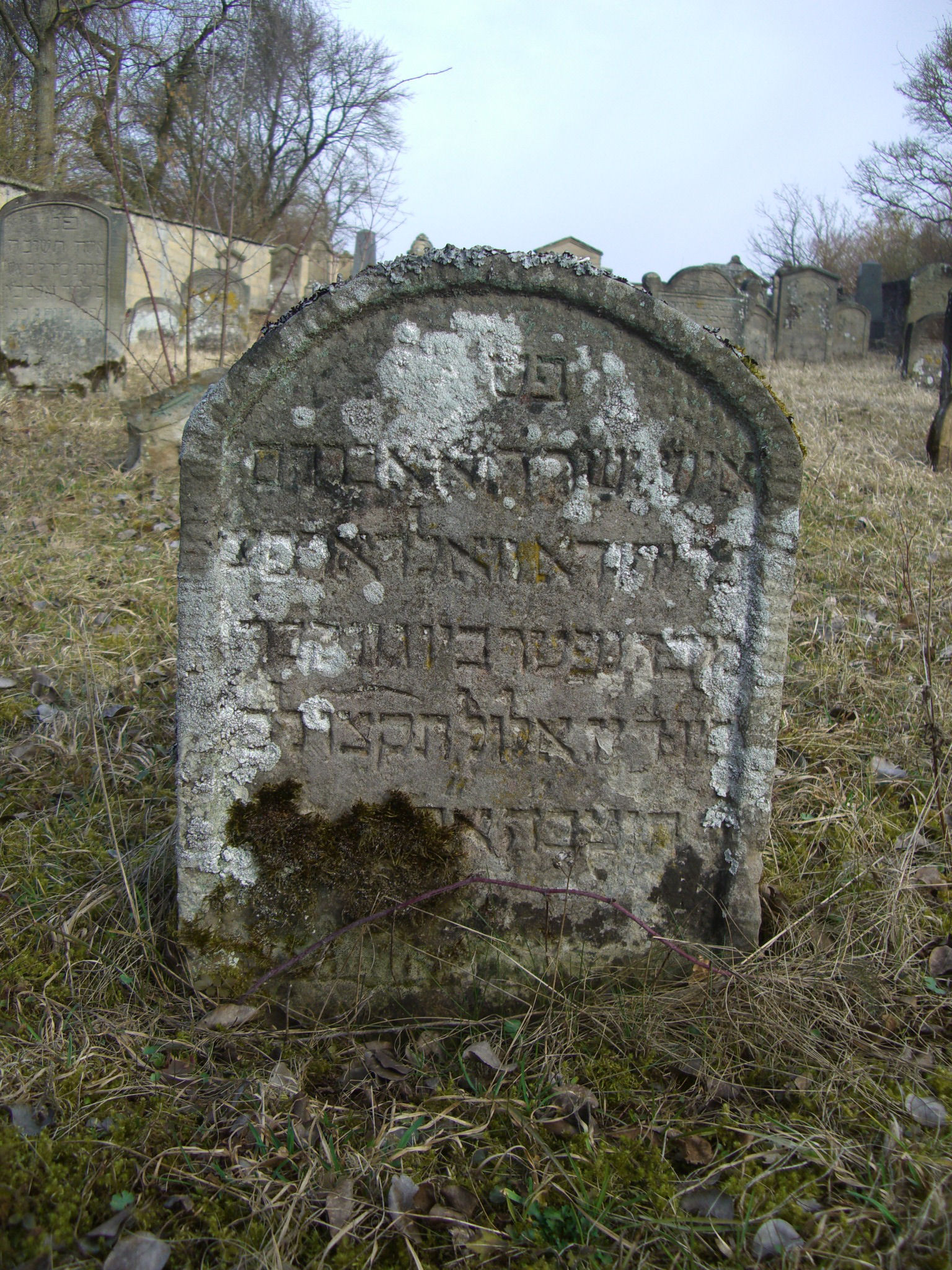 Jüdischer Friedhof Sulzdorf a. d. Lederhecke, März 2010 (Foto: Kreisheimatpfleger Reinhold Albert, Sulzdorf)