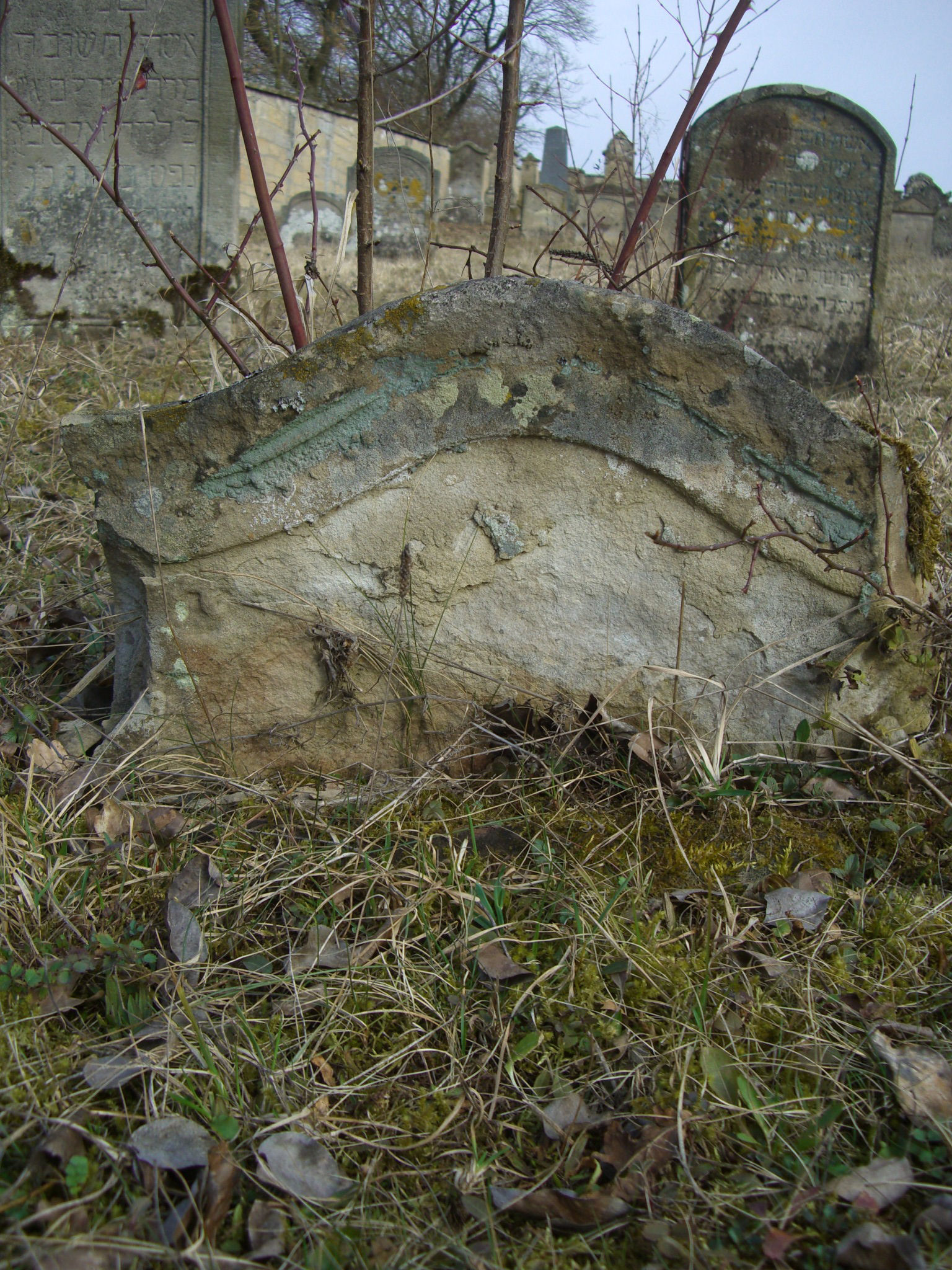 Jüdischer Friedhof Sulzdorf a. d. Lederhecke, März 2010 (Foto: Kreisheimatpfleger Reinhold Albert, Sulzdorf)