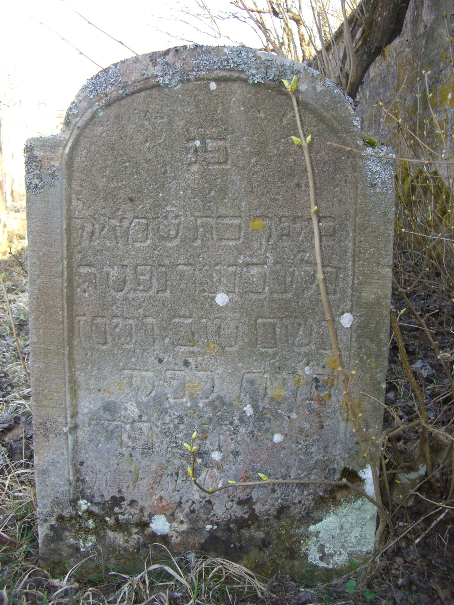 Jüdischer Friedhof Sulzdorf a. d. Lederhecke, März 2010 (Foto: Kreisheimatpfleger Reinhold Albert, Sulzdorf)