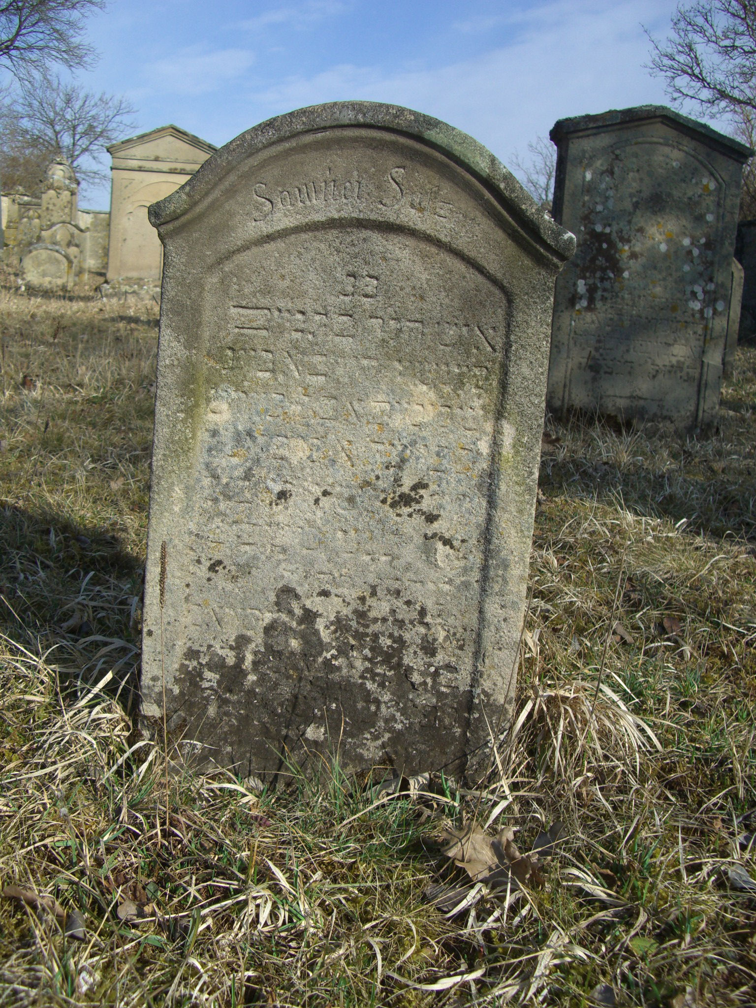 Jüdischer Friedhof Sulzdorf a. d. Lederhecke, März 2010 (Foto: Kreisheimatpfleger Reinhold Albert, Sulzdorf)