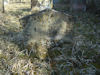 Jüdischer Friedhof Sulzdorf a. d. Lederhecke, März 2010 (Foto: Kreisheimatpfleger Reinhold Albert, Sulzdorf)