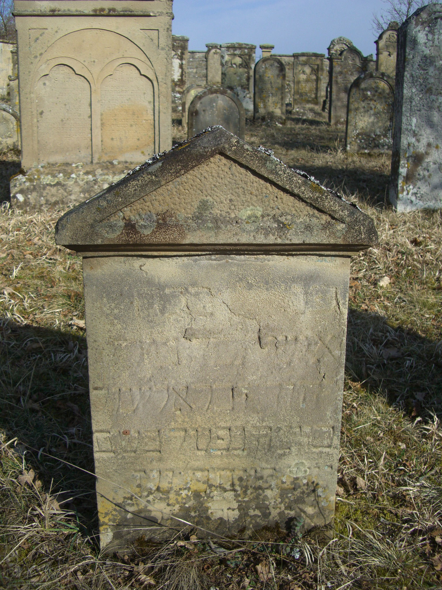 Jüdischer Friedhof Sulzdorf a. d. Lederhecke, März 2010 (Foto: Kreisheimatpfleger Reinhold Albert, Sulzdorf)