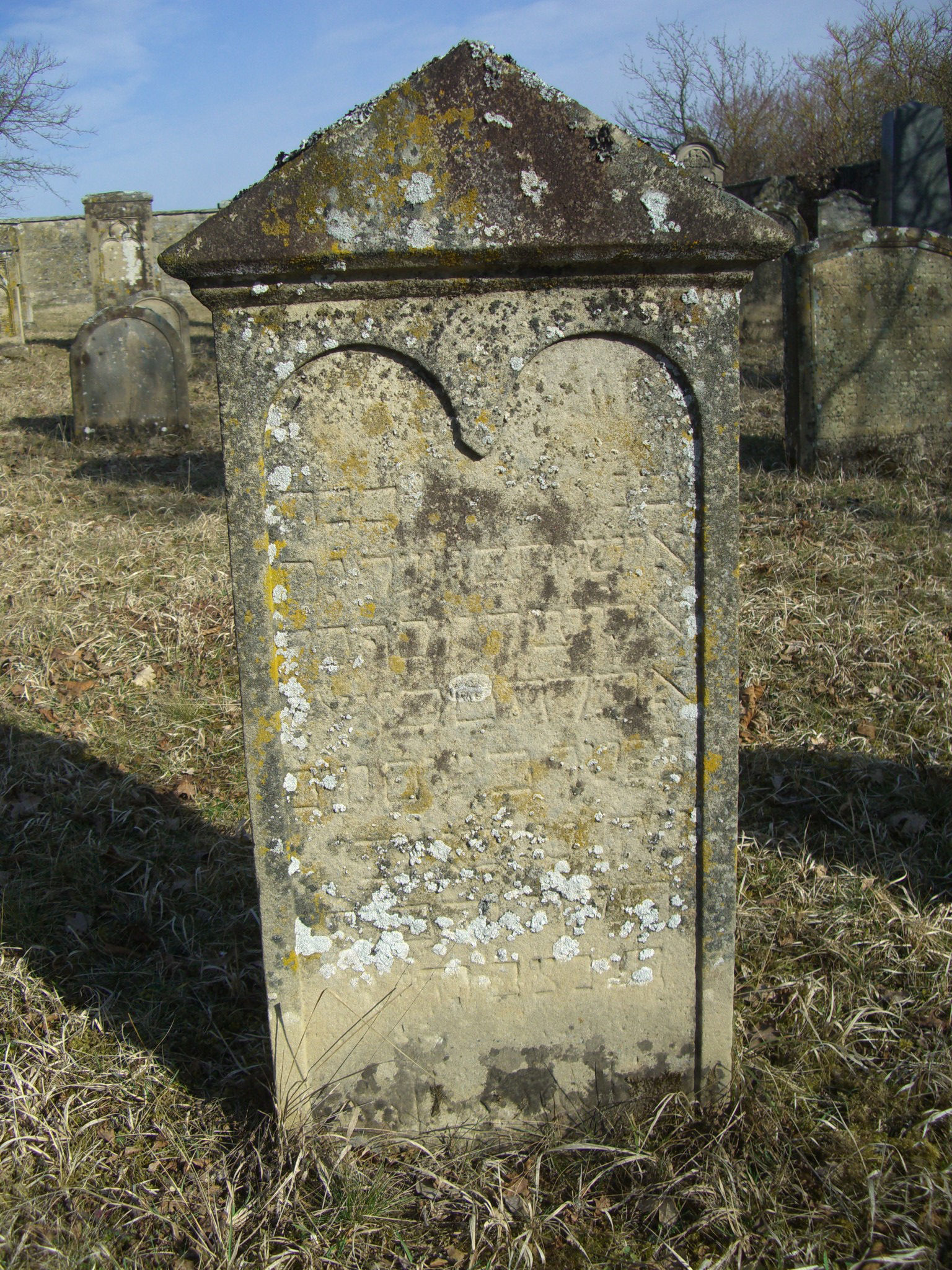 Jüdischer Friedhof Sulzdorf a. d. Lederhecke, März 2010 (Foto: Kreisheimatpfleger Reinhold Albert, Sulzdorf)