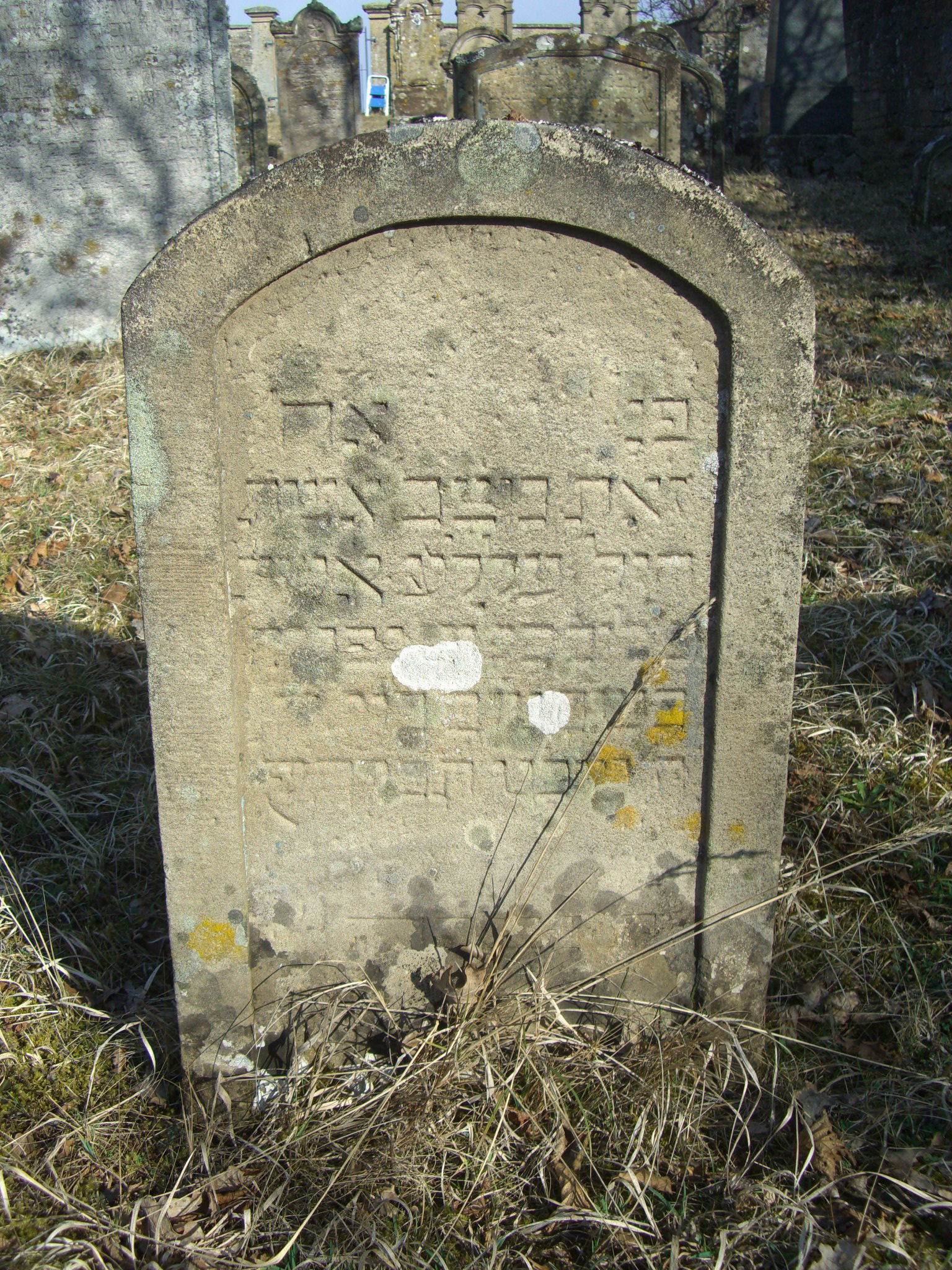 Jüdischer Friedhof Sulzdorf a. d. Lederhecke, März 2010 (Foto: Kreisheimatpfleger Reinhold Albert, Sulzdorf)