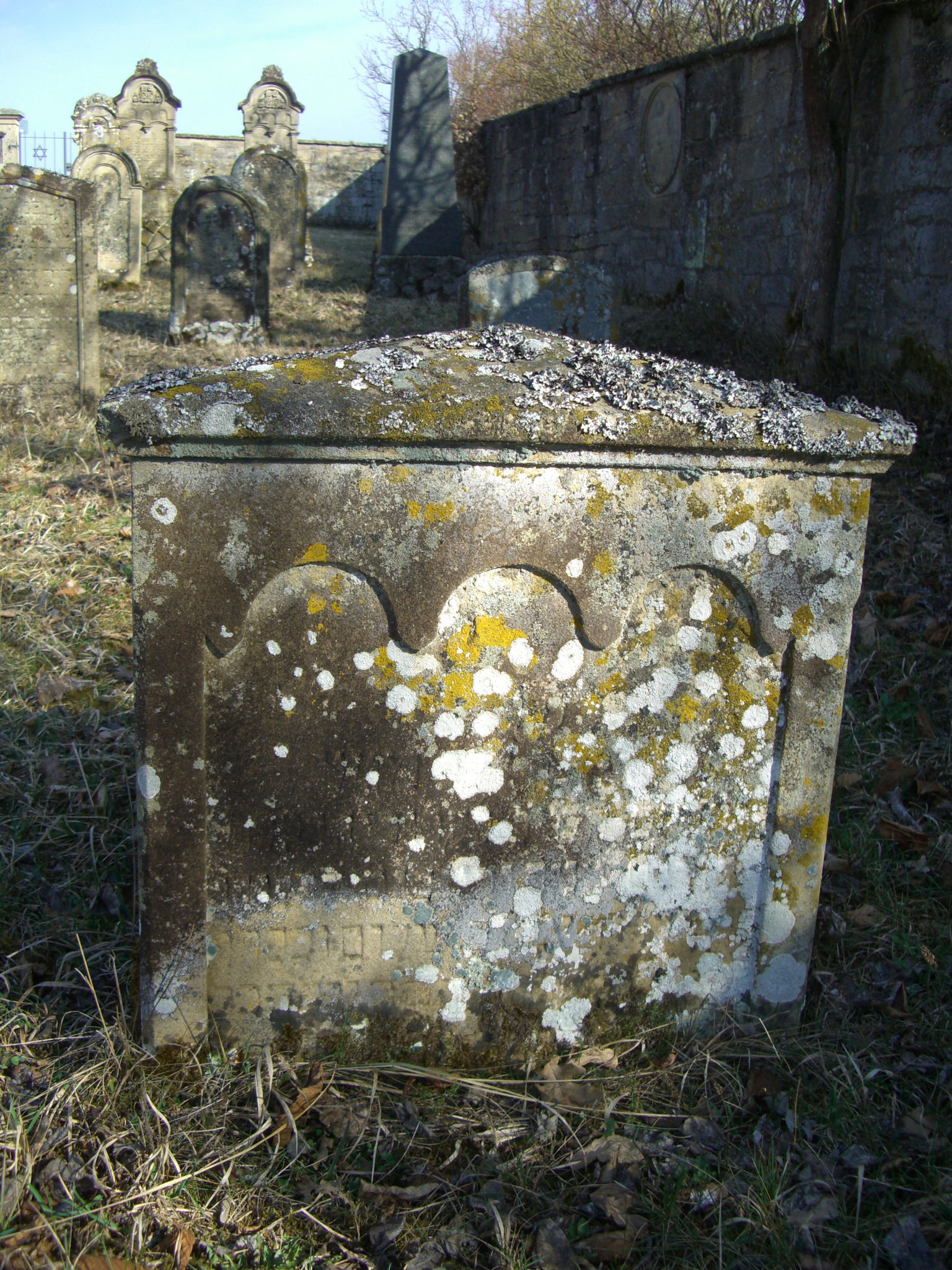 Jüdischer Friedhof Sulzdorf a. d. Lederhecke, März 2010 (Foto: Kreisheimatpfleger Reinhold Albert, Sulzdorf)