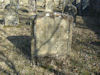 Jüdischer Friedhof Sulzdorf a. d. Lederhecke, März 2010 (Foto: Kreisheimatpfleger Reinhold Albert, Sulzdorf)