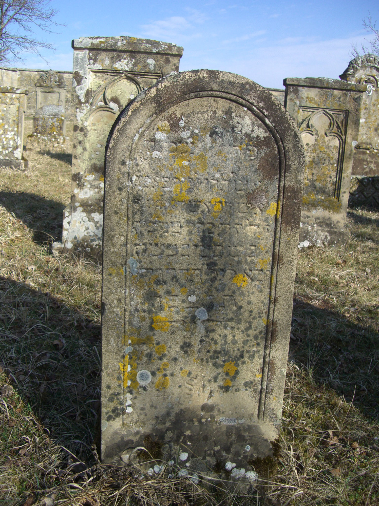 Jüdischer Friedhof Sulzdorf a. d. Lederhecke, März 2010 (Foto: Kreisheimatpfleger Reinhold Albert, Sulzdorf)