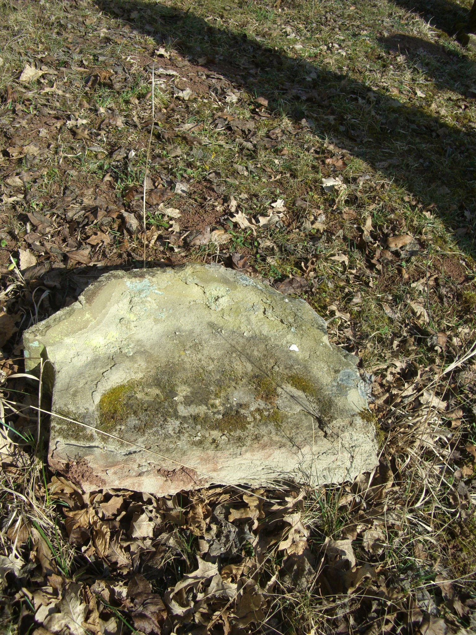 Jüdischer Friedhof Sulzdorf a. d. Lederhecke, März 2010 (Foto: Kreisheimatpfleger Reinhold Albert, Sulzdorf)