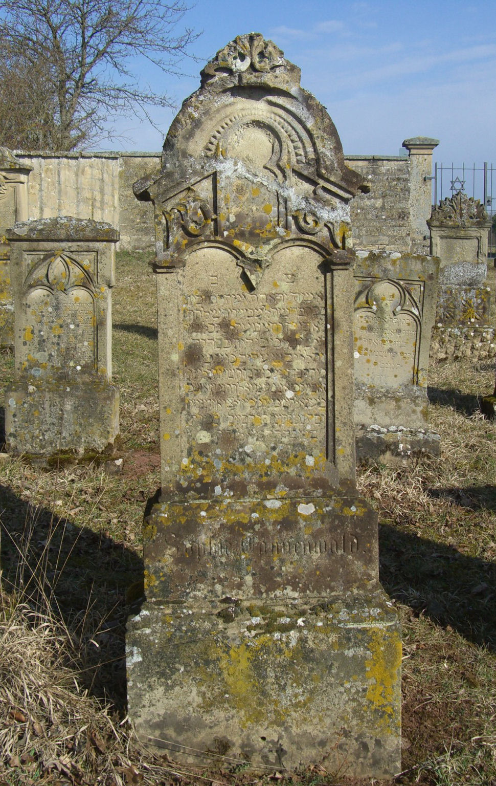 Jüdischer Friedhof Sulzdorf a. d. Lederhecke, März 2010 (Foto: Kreisheimatpfleger Reinhold Albert, Sulzdorf)