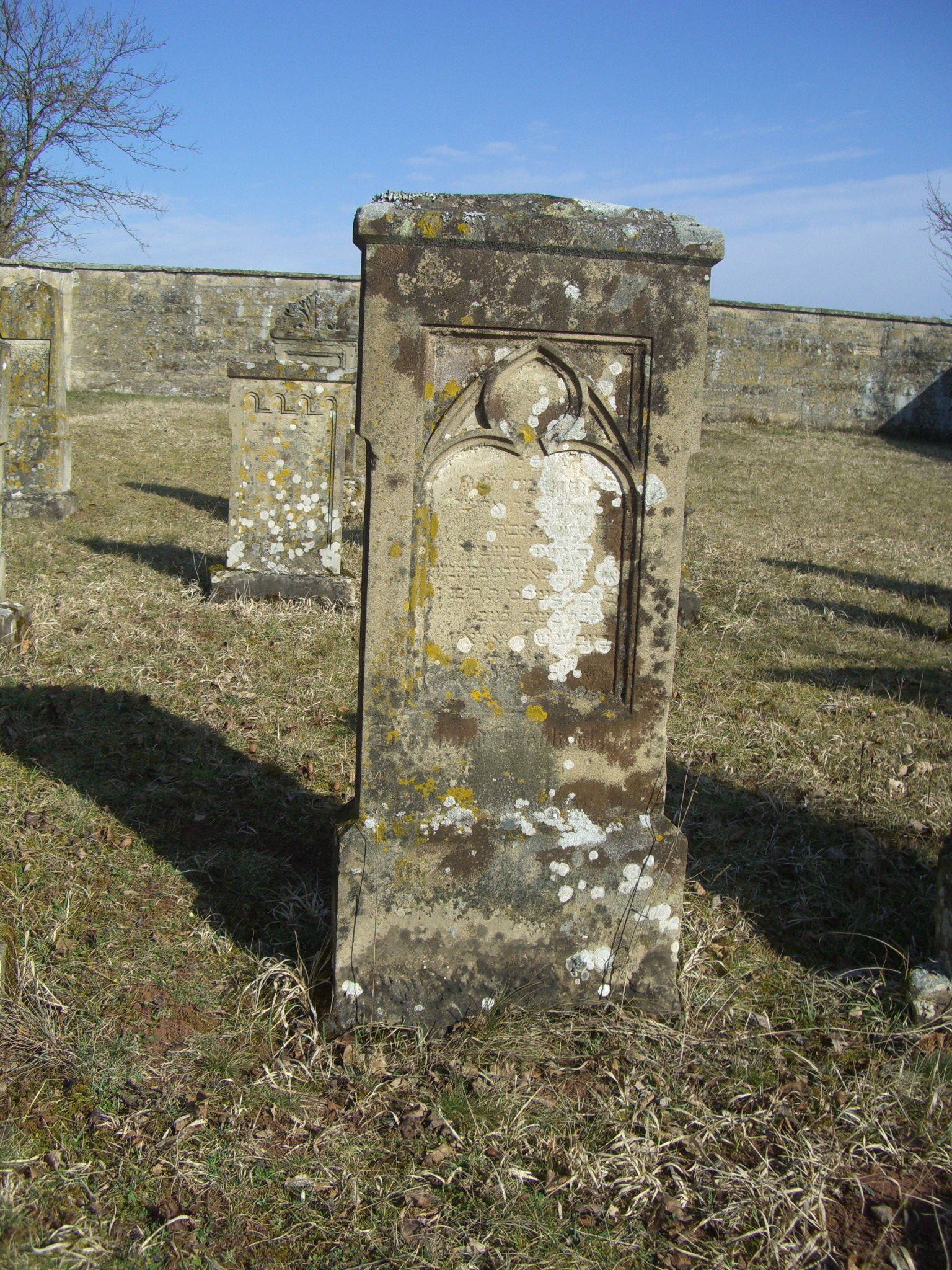 Jüdischer Friedhof Sulzdorf a. d. Lederhecke, März 2010 (Foto: Kreisheimatpfleger Reinhold Albert, Sulzdorf)