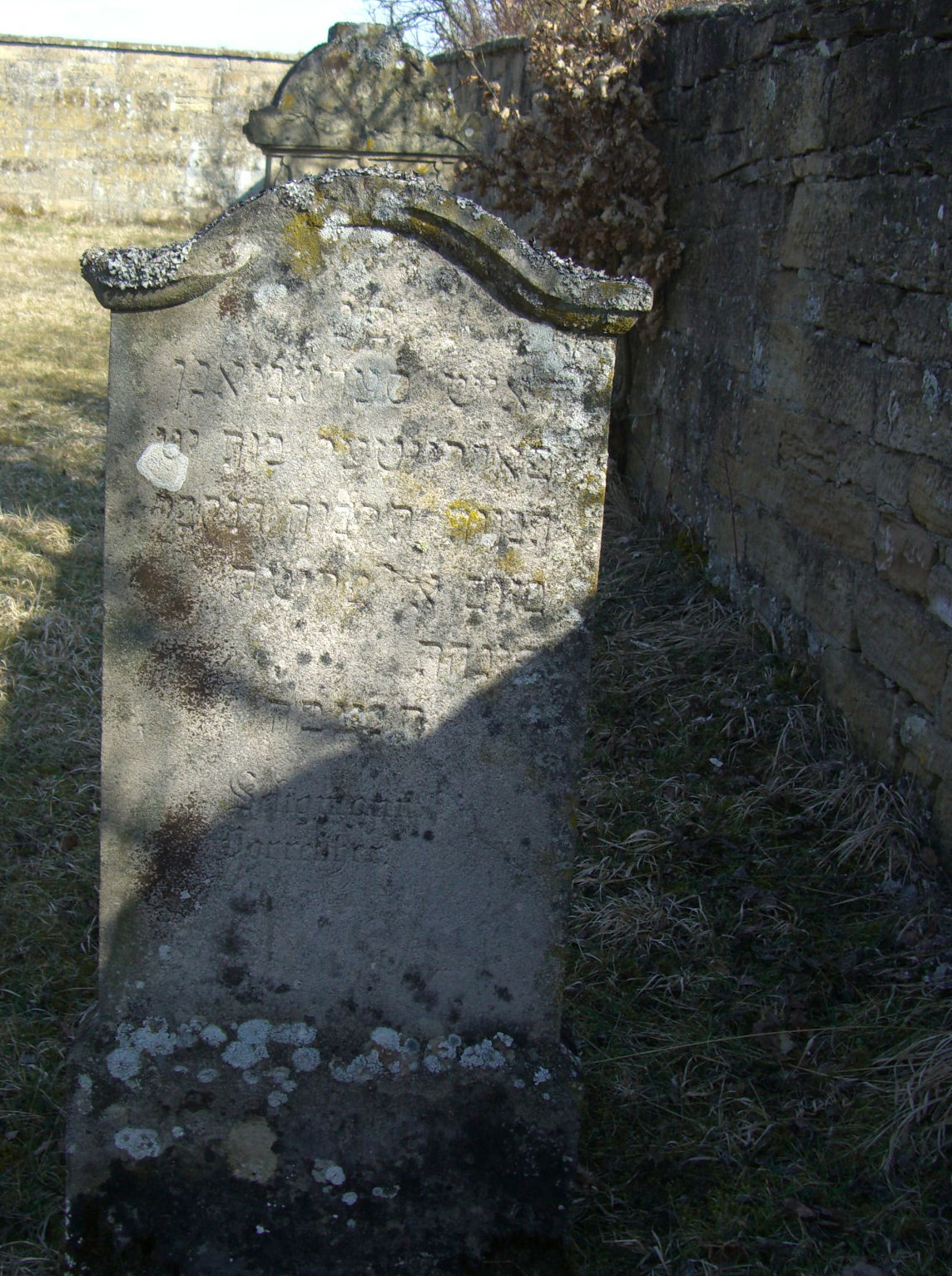 Jüdischer Friedhof Sulzdorf a. d. Lederhecke, März 2010 (Foto: Kreisheimatpfleger Reinhold Albert, Sulzdorf)