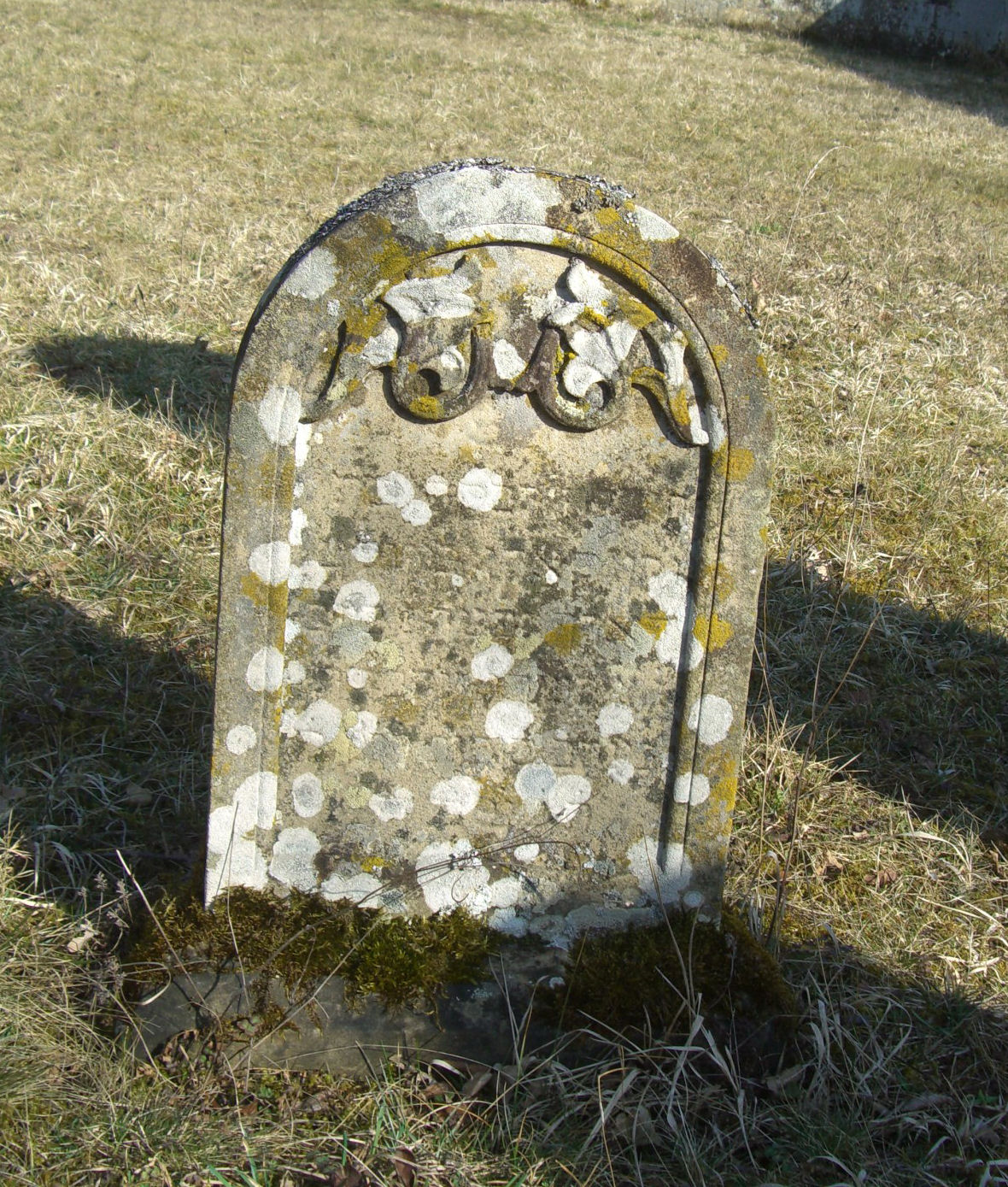 Jüdischer Friedhof Sulzdorf a. d. Lederhecke, März 2010 (Foto: Kreisheimatpfleger Reinhold Albert, Sulzdorf)