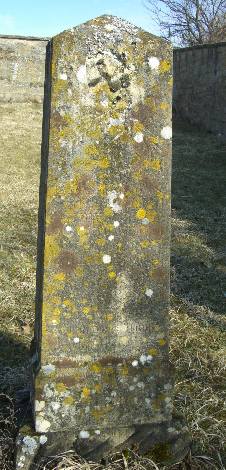 Jüdischer Friedhof Sulzdorf a. d. Lederhecke, März 2010 (Foto: Kreisheimatpfleger Reinhold Albert, Sulzdorf)