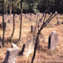 Der jüdische Friedhof in Kleinbardorf, 1989.  (Foto: Kreisheimatpfleger Reinhold Albert, Sulzdorf an der Lederhecke)