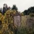 Jüdischer Friedhof von Kleinbardorf � Cordula Kappner, Zeil a. Main 