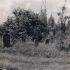Jüdischer Friedhof von Kleinbardorf (Das Digitalbild der Fotografie von 1960 stellte dankenswerterweise Kreisheimatpfleger Reinhold Albert, Sulzdorf an der Lederhecke, zur Verfügung.)