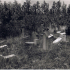 Jüdischer Friedhof von Kleinbardorf (Das Digitalbild der Fotografie von 1960 stellte dankenswerterweise Kreisheimatpfleger Reinhold Albert, Sulzdorf an der Lederhecke, zur Verfügung.)