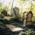 Jüdischer Friedhof von Kriegshaber � Cordula Kappner, Zeil a. Main 