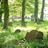 Jüdischer Friedhof Laudenbach. � W.H�rnig