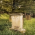 Jüdischer Friedhof von Ullstadt � Cordula Kappner, Zeil a. Main 