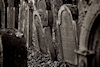 Jüdischer Friedhof Wenkheim. � W.H�rnig